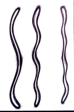 drawing6.jpg